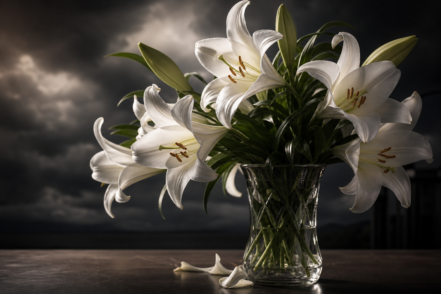 Lily flowers - extremely toxic to cats